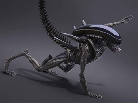 Alien Xenomorph - 3D Model by SQUIR