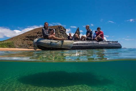 Snorkeling on a Galapagos Cruise - Top Snorkel Spots & Marine Life ...