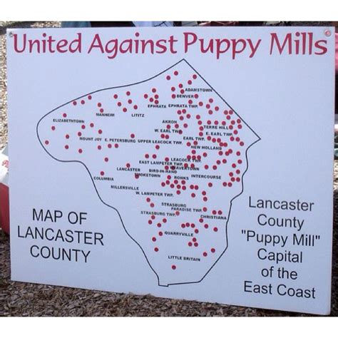 Amish puppy mills, Lancaster County known as "puppy mill capital of the ...