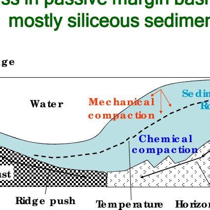 Schematic diagram in a passive margin basin. Most of the tectonic... | Download Scientific Diagram