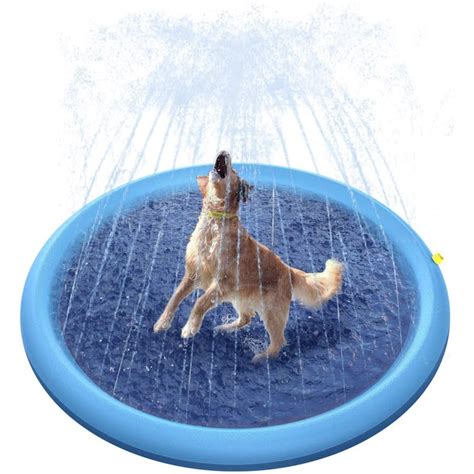 The 4 Best Dog Pools