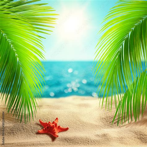 Beautiful tropical beach background. Summer landscape with coco palms ...