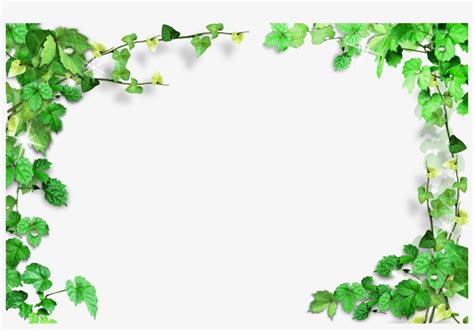 Green Leaves Frame - Transparent Background Border Leaves Transparent PNG - 4000x2600 - Free ...