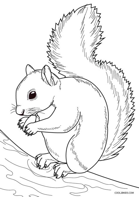 Free Printable Squirrels Coloring Pages For Kids