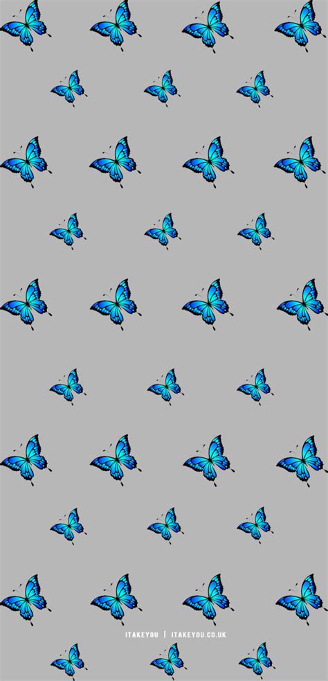 Butterfly Iphone Backgrounds