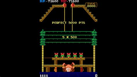 0 Cheats for Arcade Archives DONKEY KONG 3