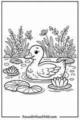 50  Duck Coloring Pages Free PDF Printables sketch template
