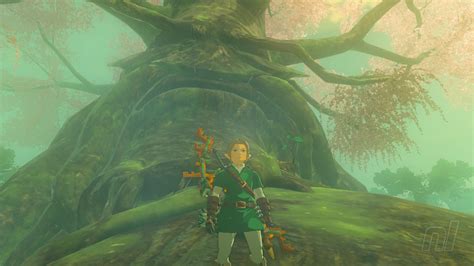 Zelda: Tears Of The Kingdom: How To Get To Korok Forest, Lost Woods ...