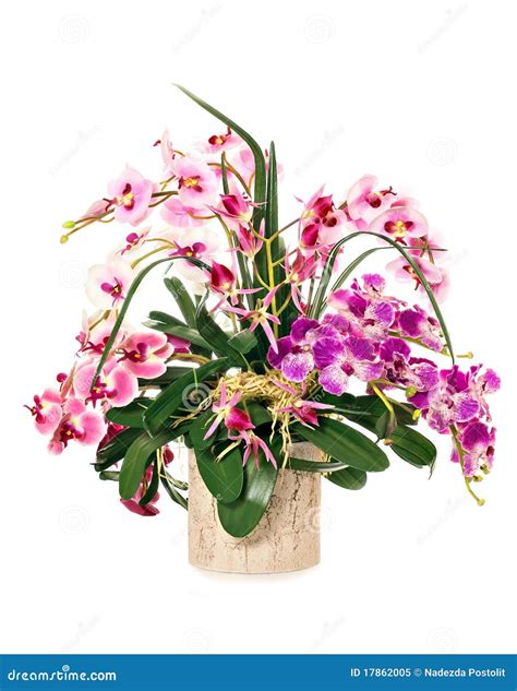 Bunch of orchids stock image. Image of bowl, decoration - 17862005