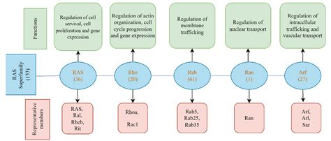 IJMS | Free Full-Text | Small-Molecule RAS Inhibitors as Anticancer Agents: Discovery ...