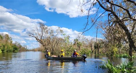 Animals Recover in Aftermath of Devastating Hurricane Ian - American ...