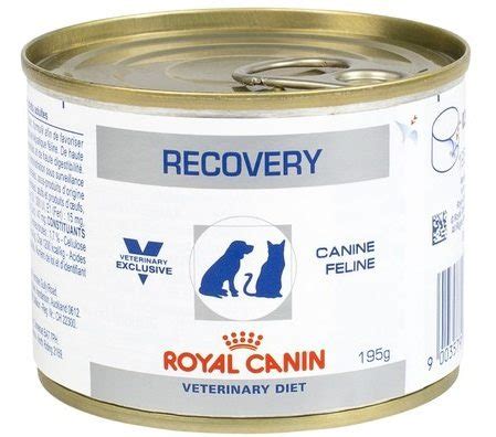 Royal Canin V-diet Recovery Can 195g Dog/cat food (Pack of 2 ...