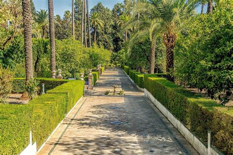 The Royal Alcázar of Seville | Beautiful places to visit, Alcazar seville, Andalusia