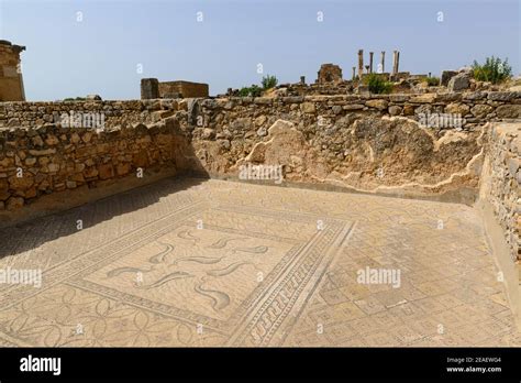 Volubilis mosaics hi-res stock photography and images - Alamy