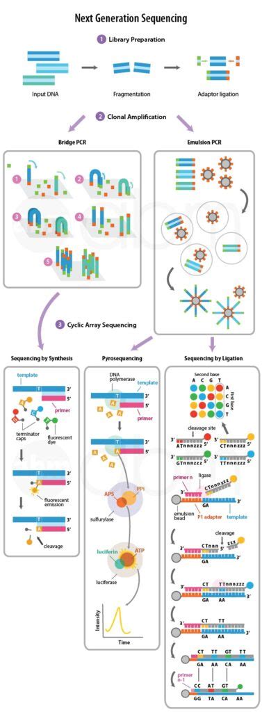 Easy read on Next Generation Sequencing in 3 Mins - Ampersand Tutorials