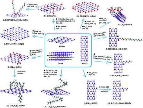 Functionalized hexagonal boron nitride nanomaterials: emerging ...