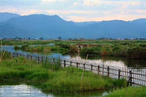 The Floating Gardens of Inle Lake – The Frustrated Gardener