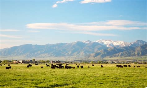 Places to Visit: Bozeman, Montana - AllTrips