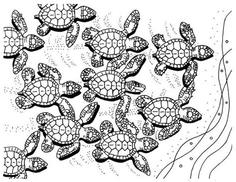 Baby Sea Turtles Coloring Page Embroidery Pattern Sea - Etsy | Turtle coloring pages, Cow ...