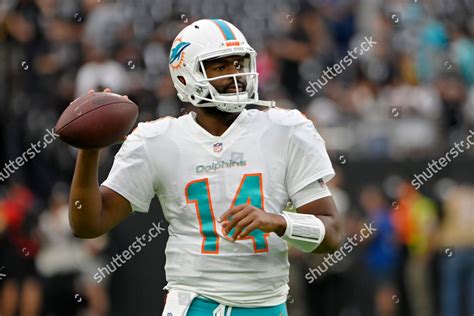 MIAMI DOLPHINS QUARTERBACK JACOBY BRISSETT 14 Editorial Stock Photo ...