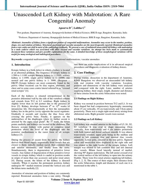 Unascended Left Kidney With Malrotation: A Rare Congenital Anomaly ...