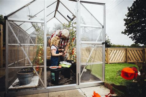 How Do Mini Greenhouses Work? A Beginner's Introduction
