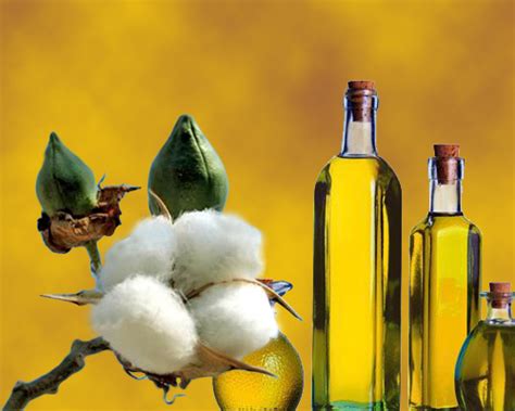 Cottonseed Oil - Nutrition Facts, Health Benefits, Properties, Uses