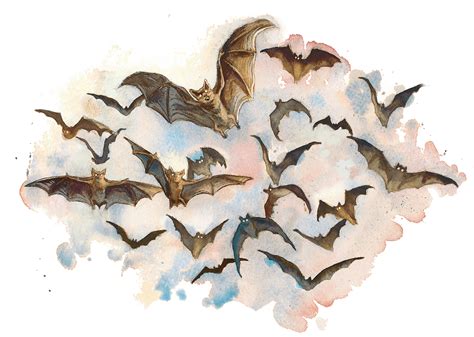 Swarm of Bats Species in D&D 5e Campaign Backdrop | World Anvil