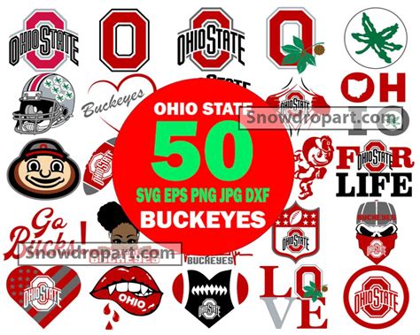 50 Ohio State Buckeyes Svg Bundle, Buckeyes Svg, Buckeyes Logo Svg