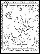 Cute Lobster Coloring Page With Fun Fact About Regenerating  FREE sketch template