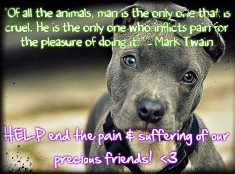 Stop Animal Cruelty Quotes. QuotesGram