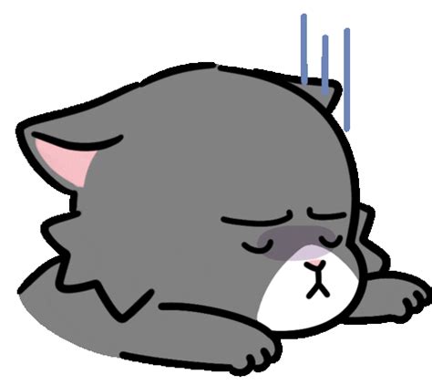 Frustrated Cat Gif