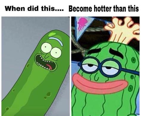 Are pickle rick memes the future of rick and morty memes? Should I ...