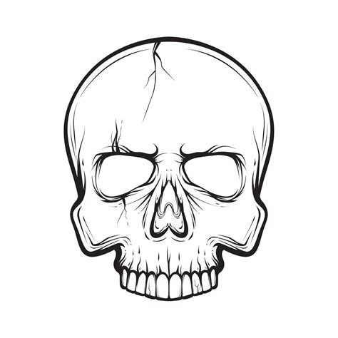 outline skull, black and white vector illustration 7126860 Vector Art at Vecteezy