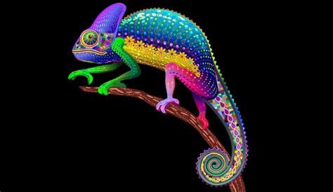 Animal Symbolism: Dream Lizards and Meanings on Whats-Your-Sign.com