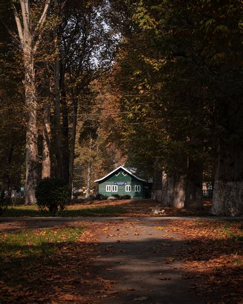 Village House in Countryside · Free Stock Photo