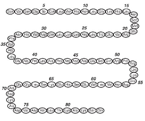 Parathyroid Hormone Structure