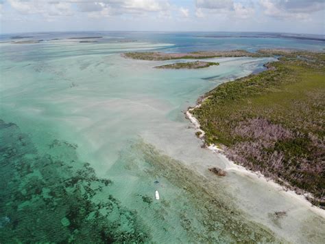 Top Sandbars In Key West & How To Get There | Sunset Watersports