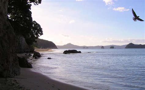 Hahei Beach / Coromandel Peninsula / North Island // World Beach Guide