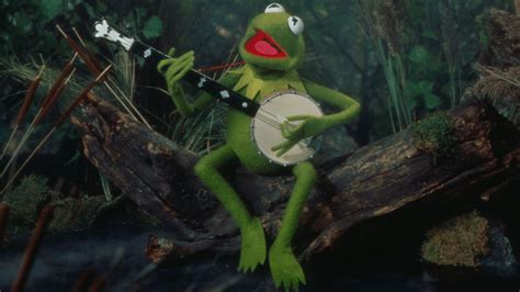 Kermit the Frog Wallpapers - Top Free Kermit the Frog Backgrounds ...