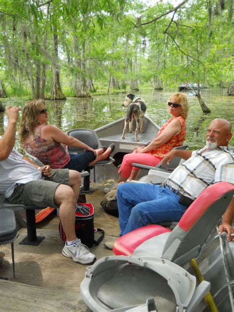 Louisiana Swamp Tour Information: Lafayette, Louisiana Swamp Tours