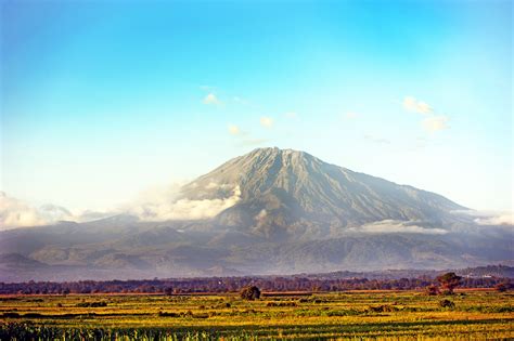 Find Arusha National Park, Tanzania Hotels- Downtown Hotels in Arusha National Park | TravelAge West