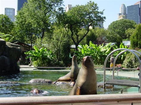 Linemorens' world: Central Park Zoo