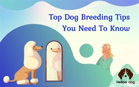 Top Dog Breeding Tips| Hellow dog