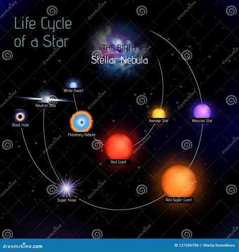 Life Cycle Of Our Sun