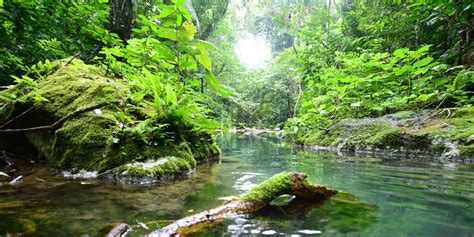 Actun Tunichil Muknal, ATM caves - Secret Central America