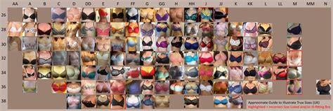 Visual guide to illustrate correct bra sizes (UK sizing). | Correct bra ...