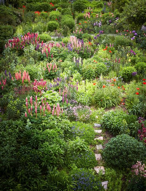 Get inspired with a tour of Martha Stewart's perennial garden