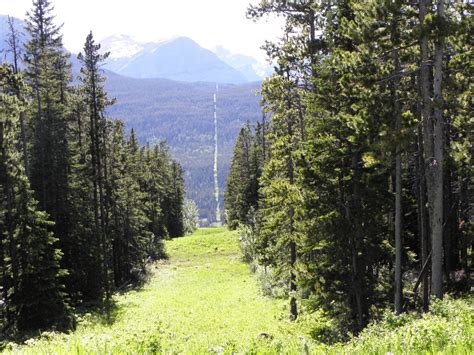 The U.S.-Canada border slash is a geographical border line come to life.