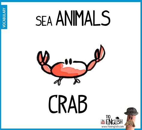 CRAB - Animals in English cards, learn English | Learn english, Learn ...